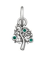 Charm Giovanni Raspini Donna Charms in Argento Zircone 12188